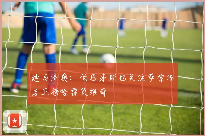 迪马济奥：伯恩茅斯也关注萨索洛后卫穆哈雷莫维奇